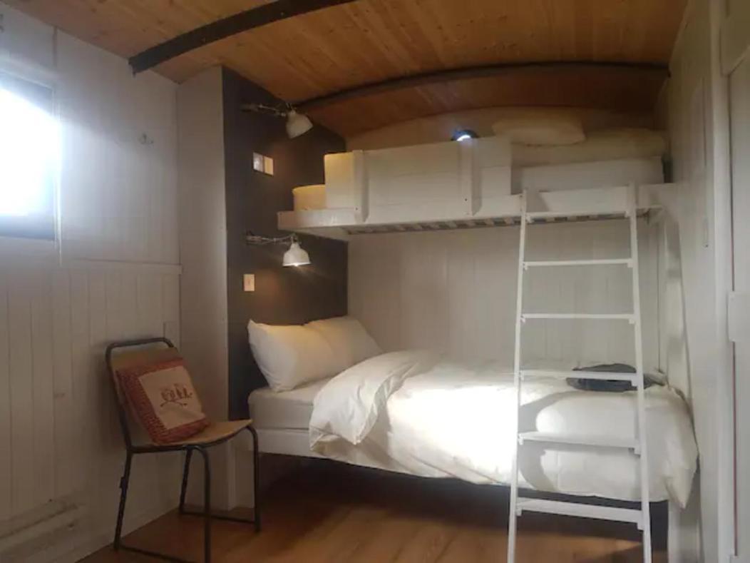 Mayo Glamping Castlebar Eksteriør billede