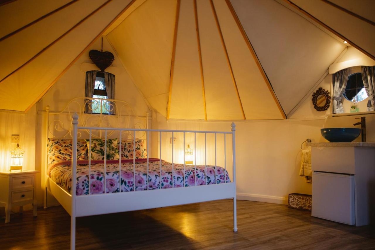 Mayo Glamping Castlebar Eksteriør billede